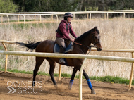 EL080425-2 - Emma Lavelle Stable Visit